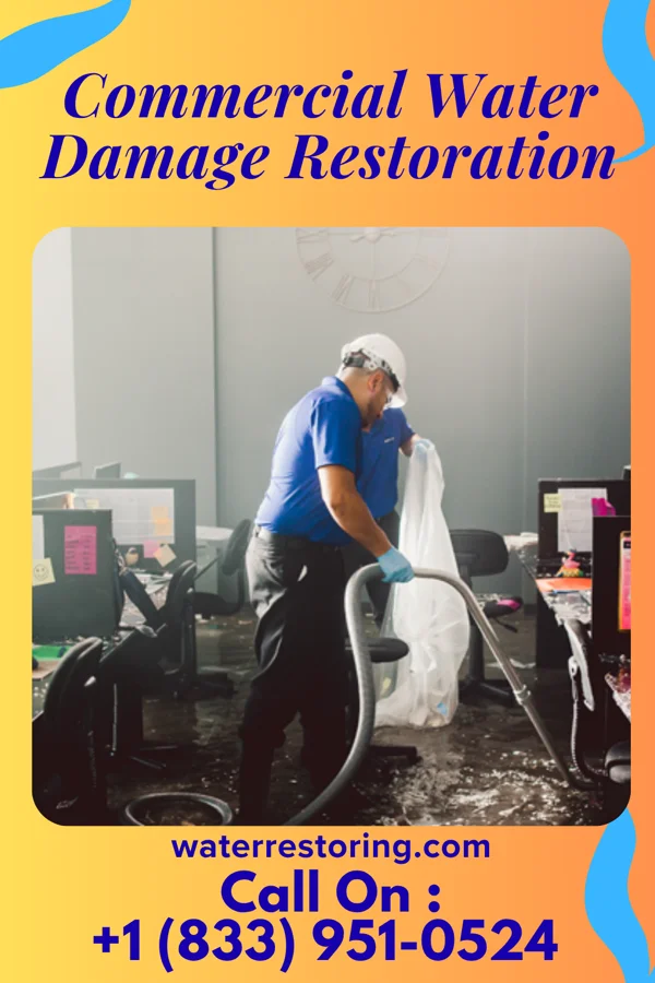 Commercial Water Damage Restoration in Nile, WA