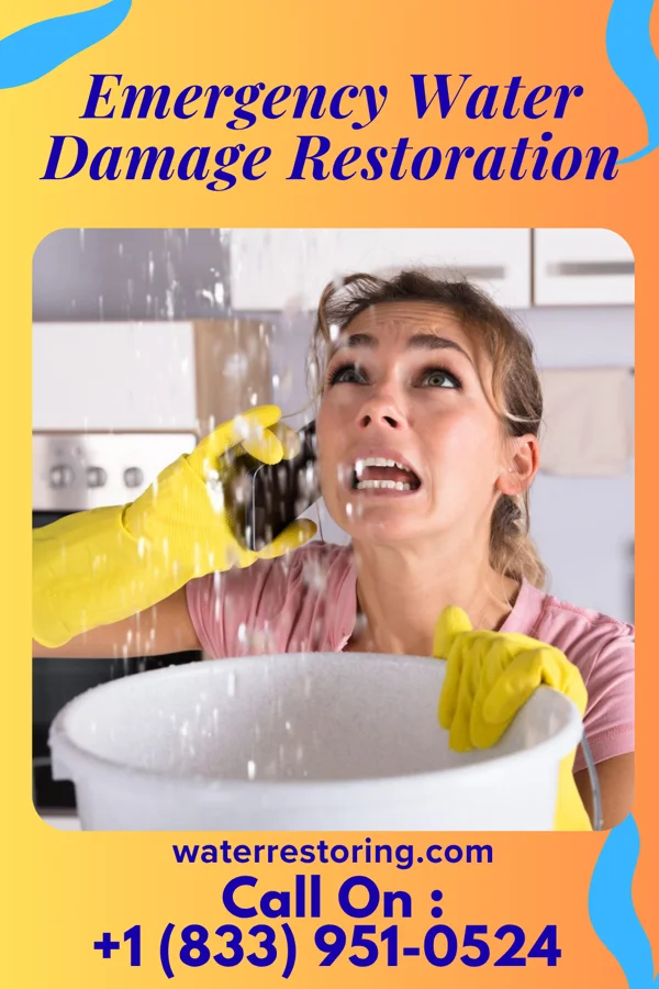 Emergency Water Damage Restoration in Nile, WA