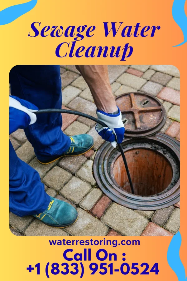 Sewage Water Cleanup in Nile, WA